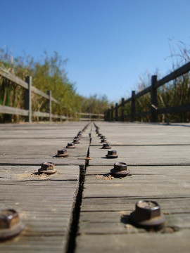 木橋