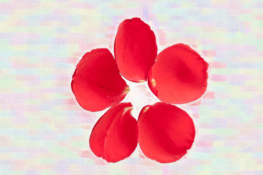 花瓣