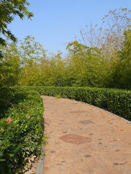 公園小路