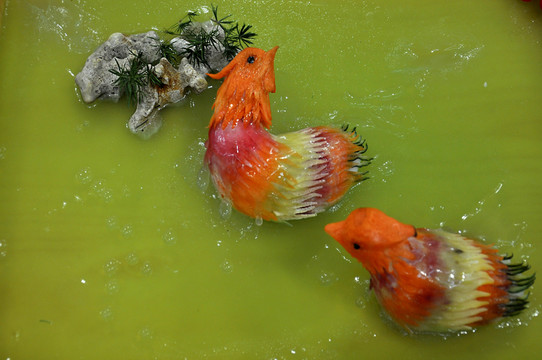 鴛鴦戲水