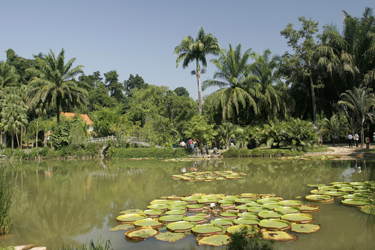 西雙版納熱帶植物園