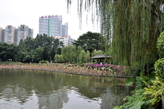 荔灣湖公園