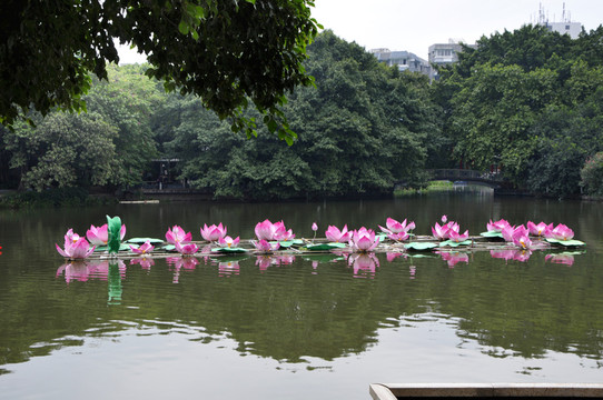 荔灣湖公園 湖光山色