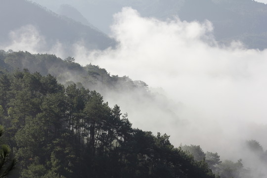 山林