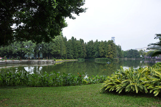流花湖公園