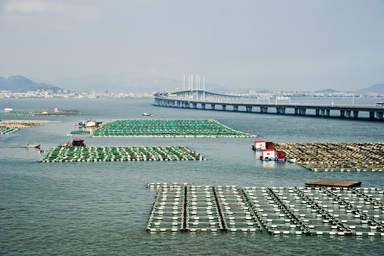 膠州灣大橋