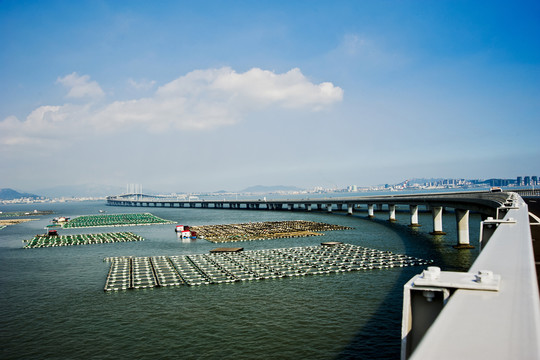 膠州灣大橋