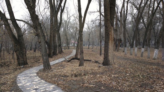 公園小路