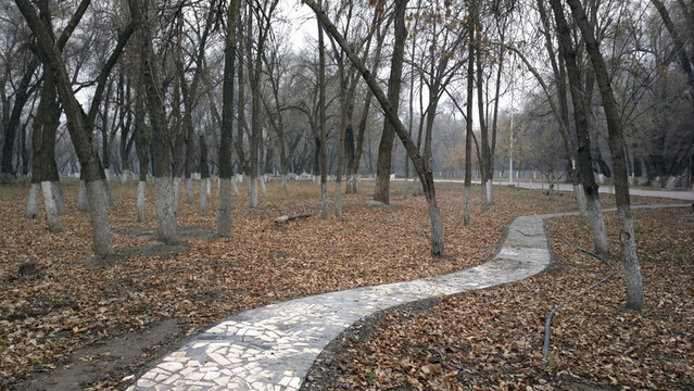 公園小路