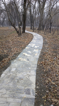 公園小路