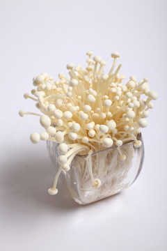 金針菇