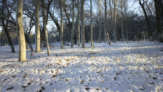 冬雪