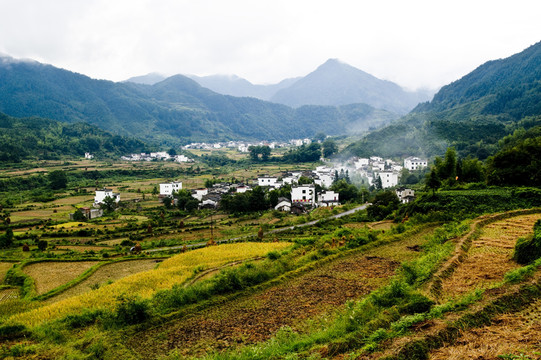 婺源梯田