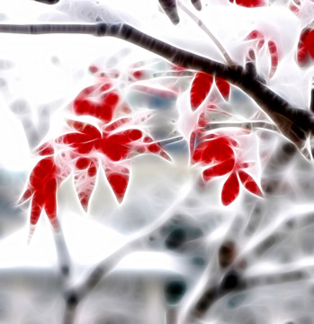 紅葉