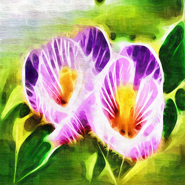 花朵裝飾畫(huà)