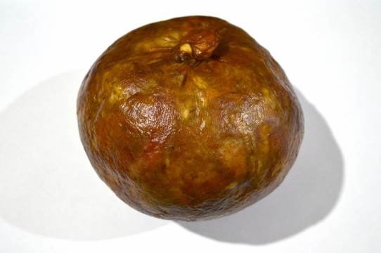 粉肚