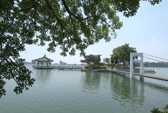 公園