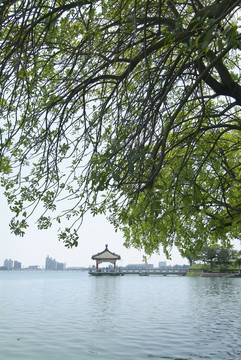 公園