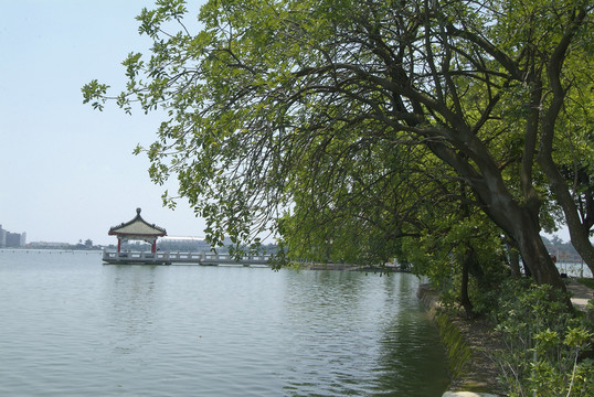 公園