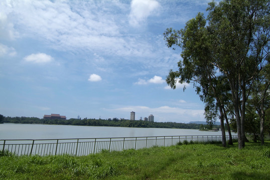 湖景