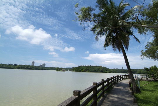 湖景