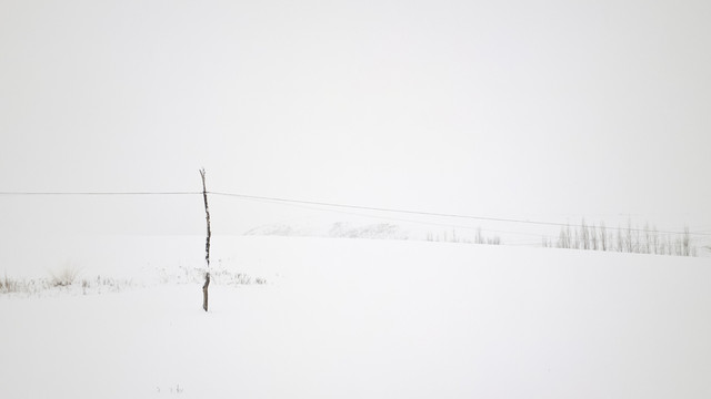 電線桿