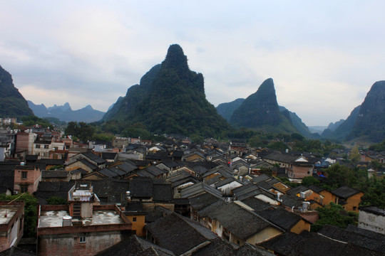 黃姚