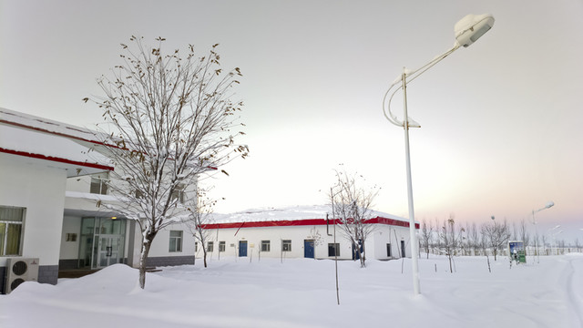 冬雪
