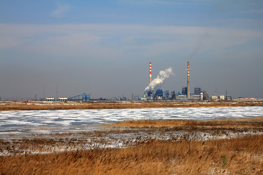 電廠