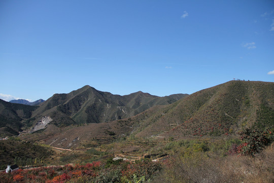 秋山