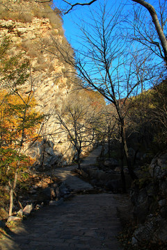 秋山