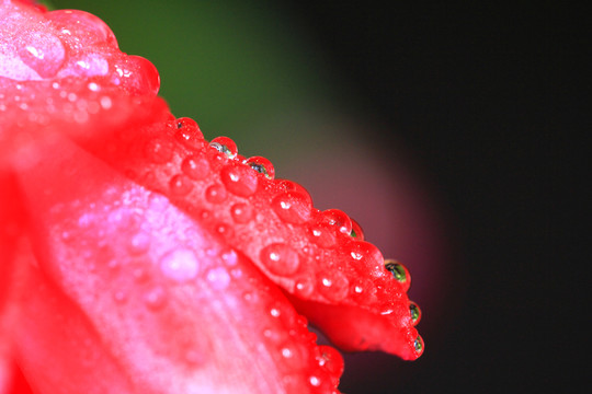 水珠