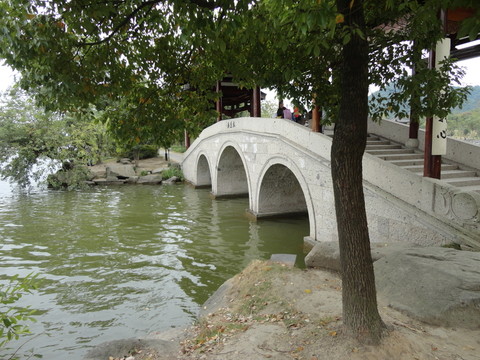 采蓮橋
