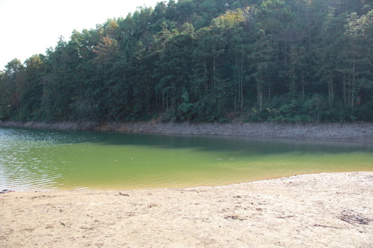 長樂林場
