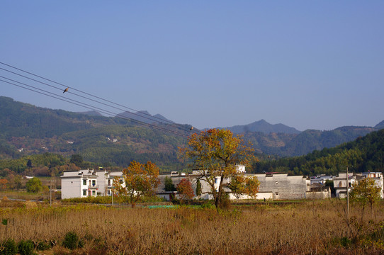 塔川