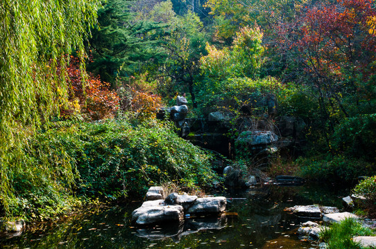 紅葉谷風(fēng)光