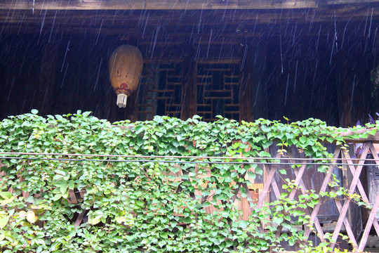雨天風(fēng)景