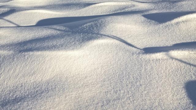 雪景