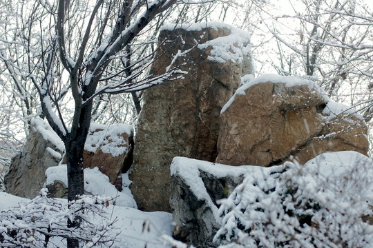 冰雪景色