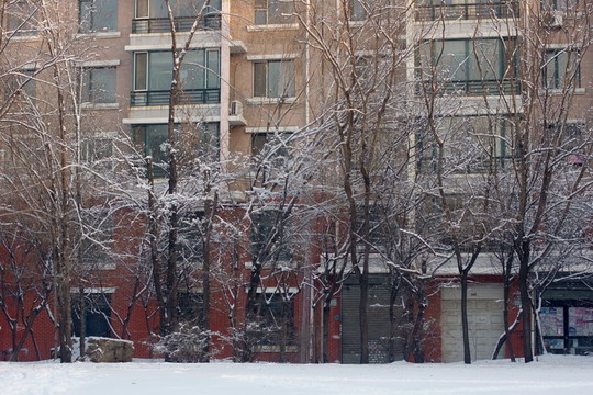 冰雪景色