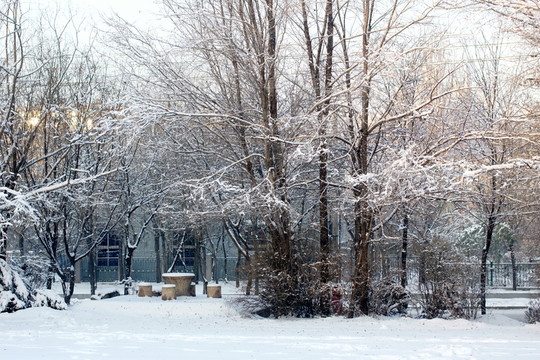 冰雪景色