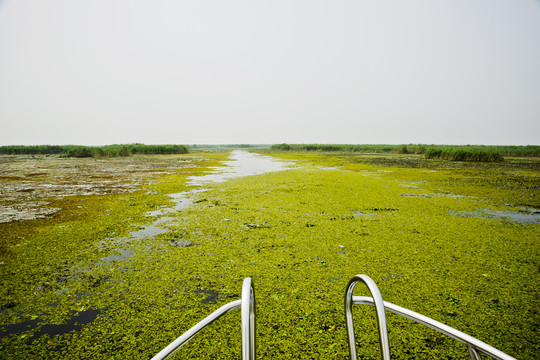 東平湖濕地