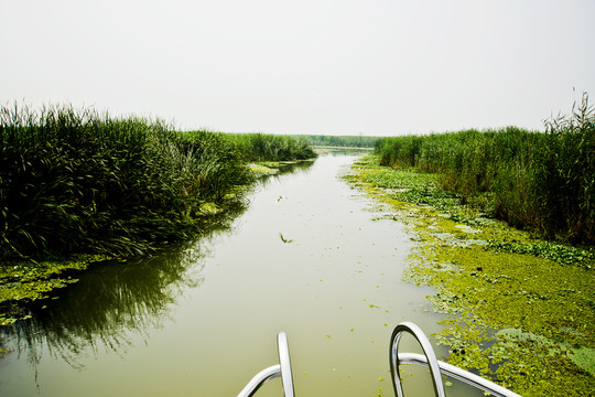 東平湖濕地