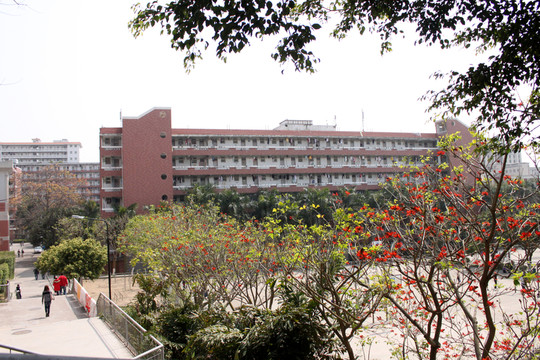 廈大校園