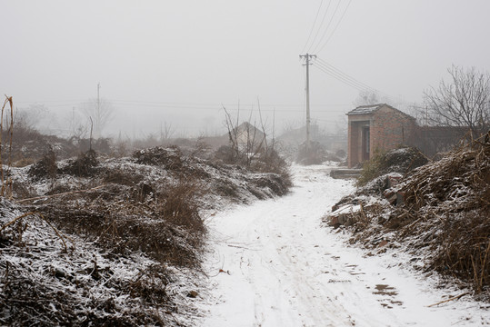 下雪天的路