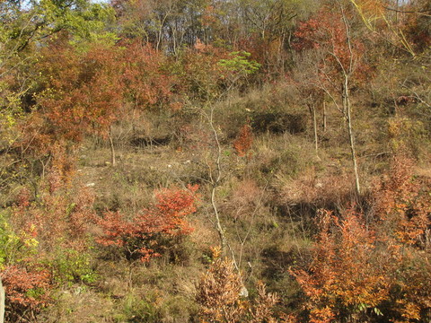 秋山 明光老嘉山風光