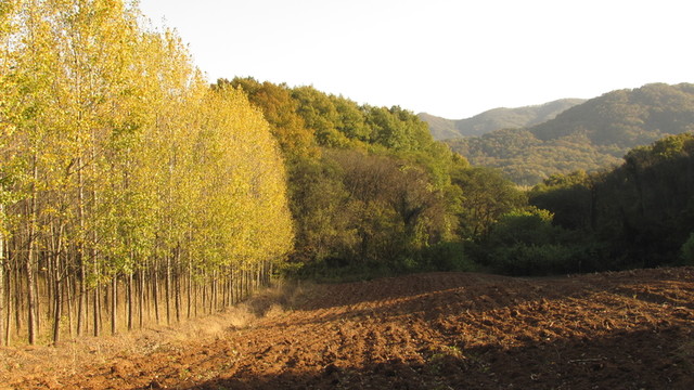 嘉山金秋