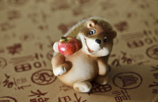 一只小浣熊