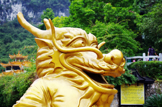 聚龍?zhí)?金色龍頭
