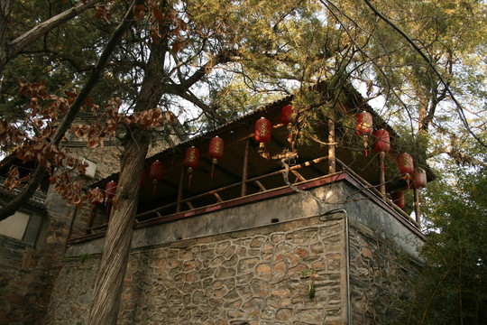 茶樓